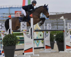 jumper Corbeagh Legend (Irish Sport Horse, 2013, from Moores Clover)