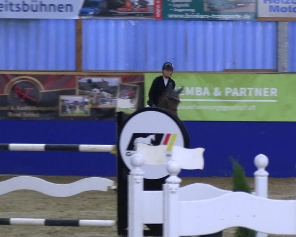 Reitturnier Isterberg 2023