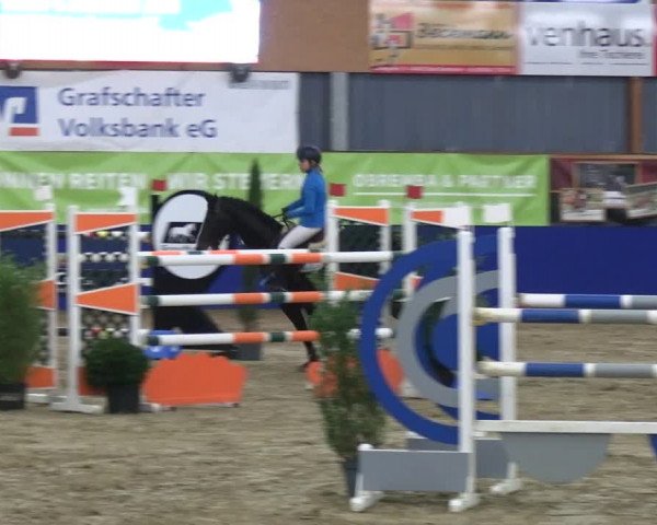Reitturnier Isterberg 2023