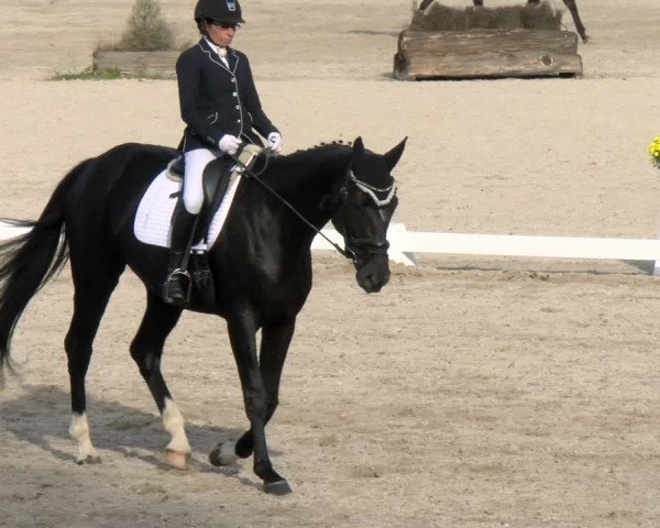 Reitturnier Tübingen 2023