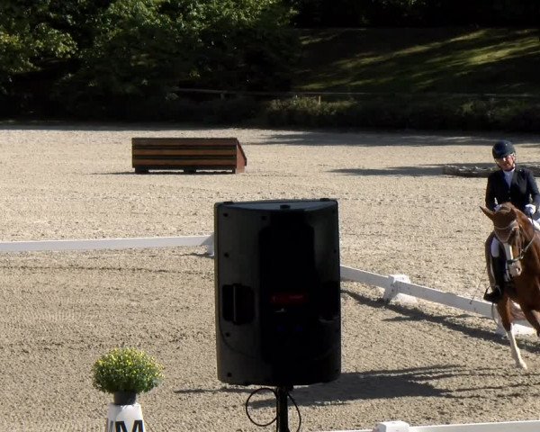 Reitturnier Tübingen 2023