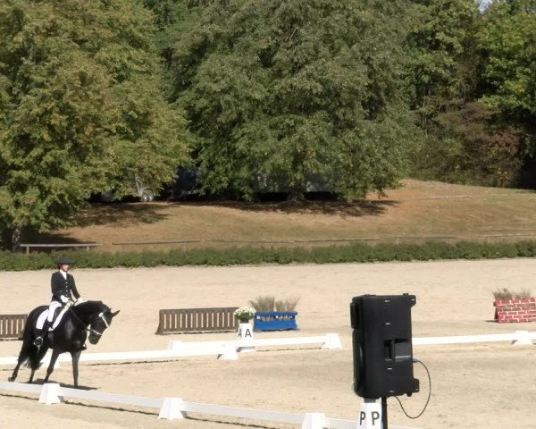 Reitturnier Tübingen 2023