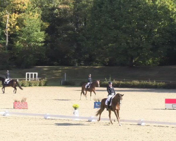 Reitturnier Tübingen 2023