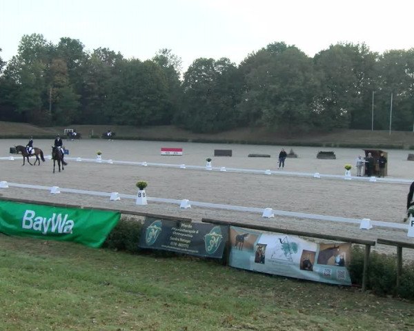 Reitturnier Tübingen 2023