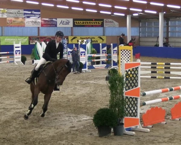 Reitturnier Isterberg 2023