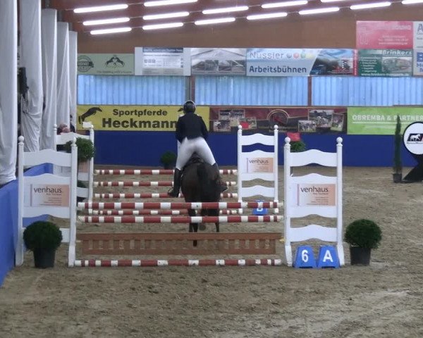 Reitturnier Isterberg 2023