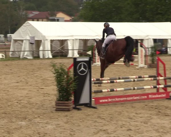 Reitturnier Heiligenwald 2023