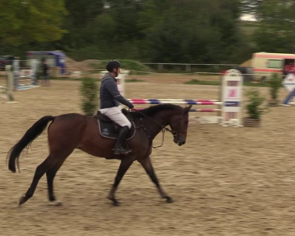 Reitturnier Heiligenwald 2023