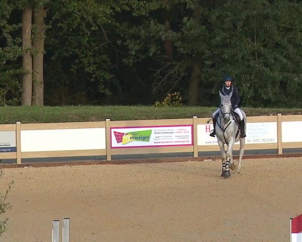 Reitturnier Tiefenhof/Opf. 2023