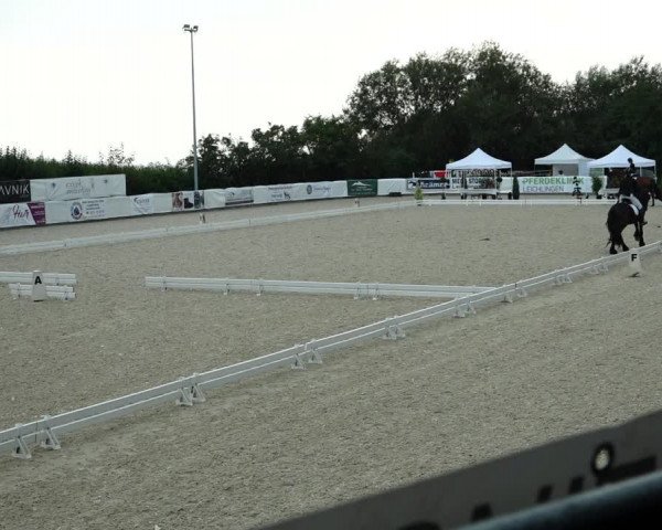 Reitturnier Leichlingen-Witzhelden 2021