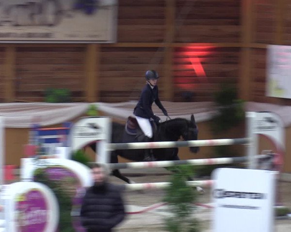 Reitturnier Xanten - Reitanlage Miss 2023