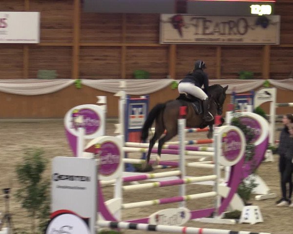 Reitturnier Xanten - Reitanlage Miss 2023