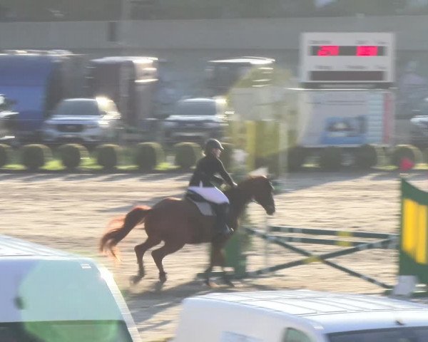 Reitturnier Basel 2023