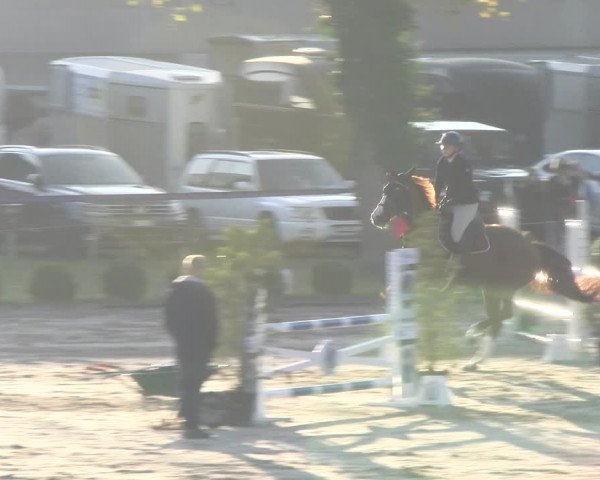 Reitturnier Basel 2023