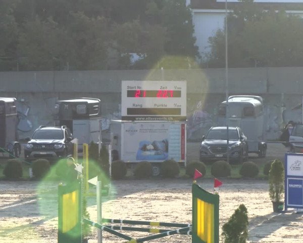 Reitturnier Basel 2023
