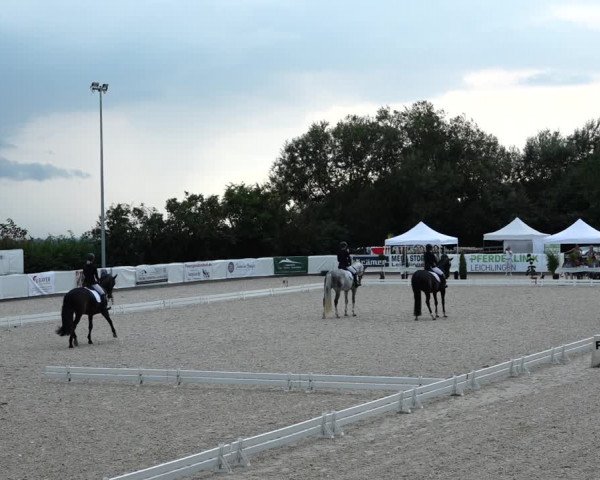 Reitturnier Leichlingen-Witzhelden 2021