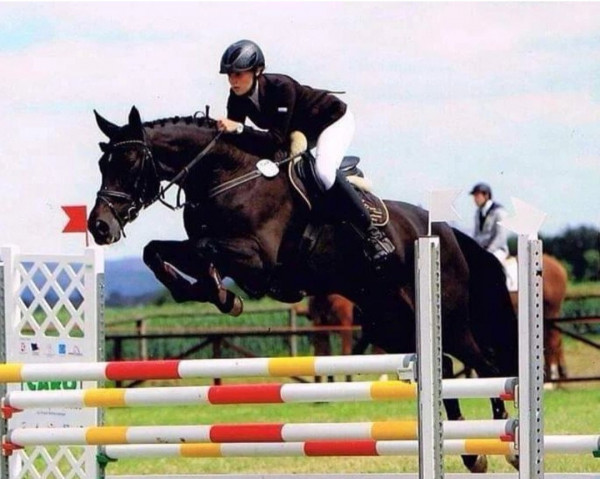 broodmare Liandra 5 (Hanoverian, 2003, from Lord Laptop) broodmare Liandra 5 (Hanoverian, 2003, from Lord Laptop)