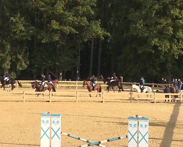 Reitturnier Tiefenhof/Opf. 2023