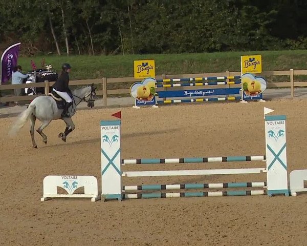 Reitturnier Tiefenhof/Opf. 2023