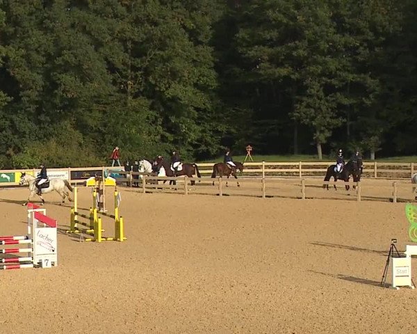 Reitturnier Tiefenhof/Opf. 2023