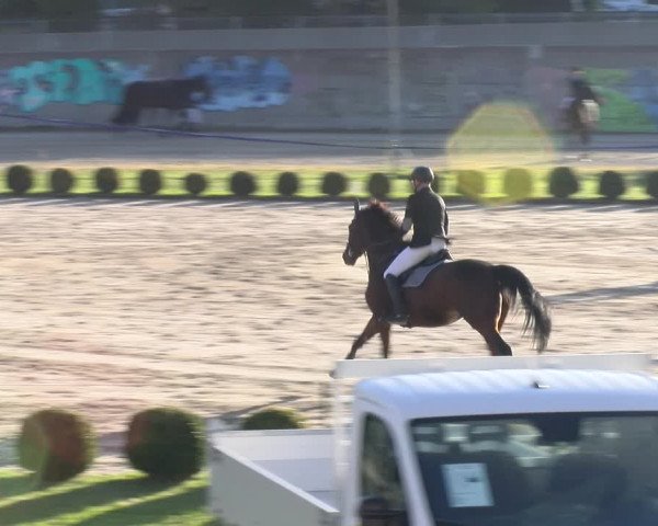 Reitturnier Basel 2023