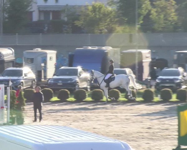 Reitturnier Basel 2023