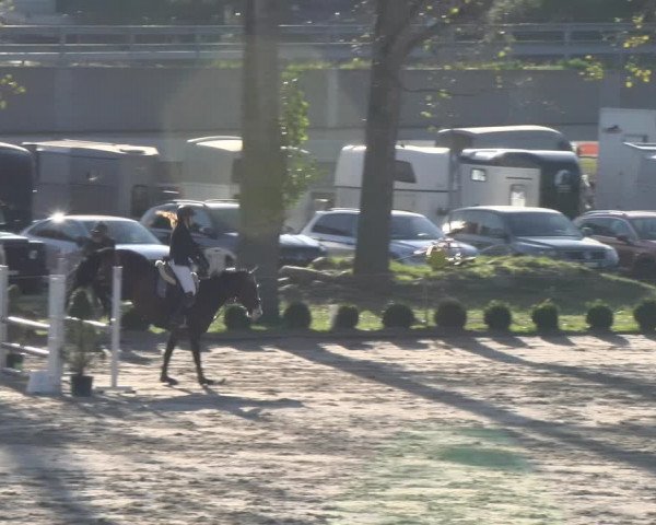 Reitturnier Basel 2023