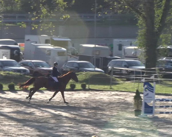 Reitturnier Basel 2023