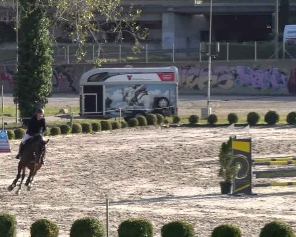 Reitturnier Basel 2023