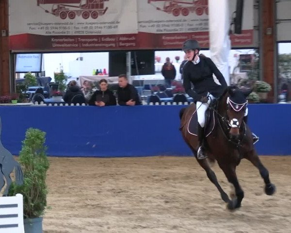 Reitturnier Isterberg 2023