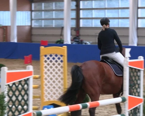 Reitturnier Isterberg 2023