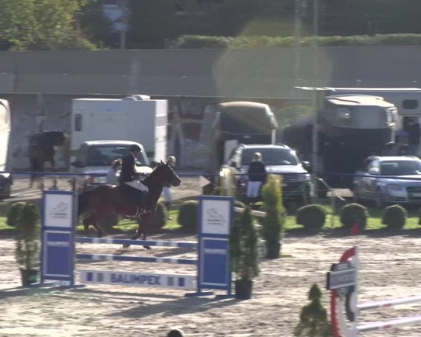 Reitturnier Basel 2023