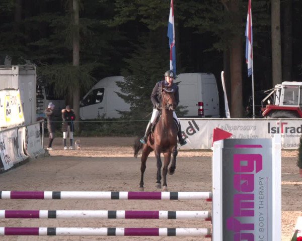 Reitturnier Ranshofen - Braunau am Inn 2023