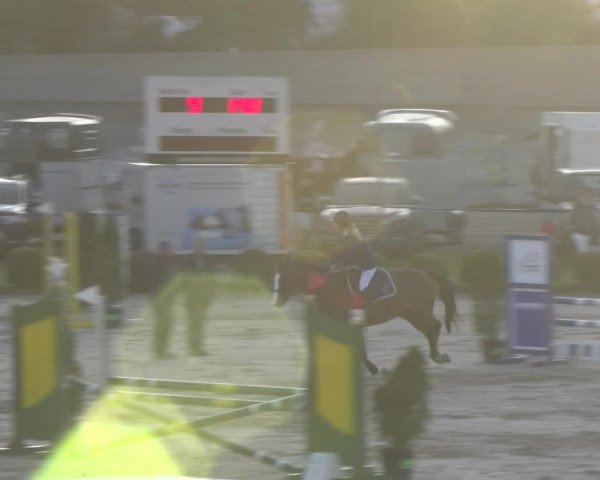 Reitturnier Basel 2023