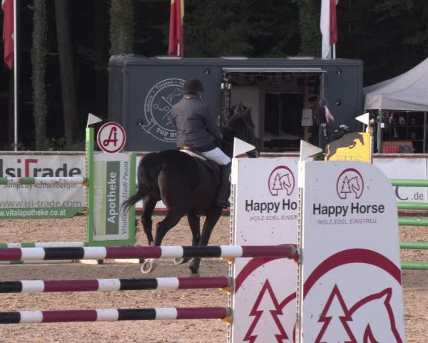 Reitturnier Ranshofen - Braunau am Inn 2023