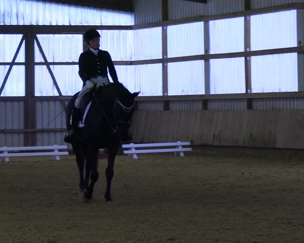 Reitturnier Werdohl-Rentrop 2023