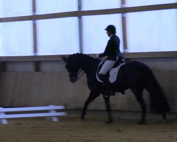 Reitturnier Werdohl-Rentrop 2023