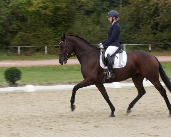 Reitturnier Heiligenwald 2023