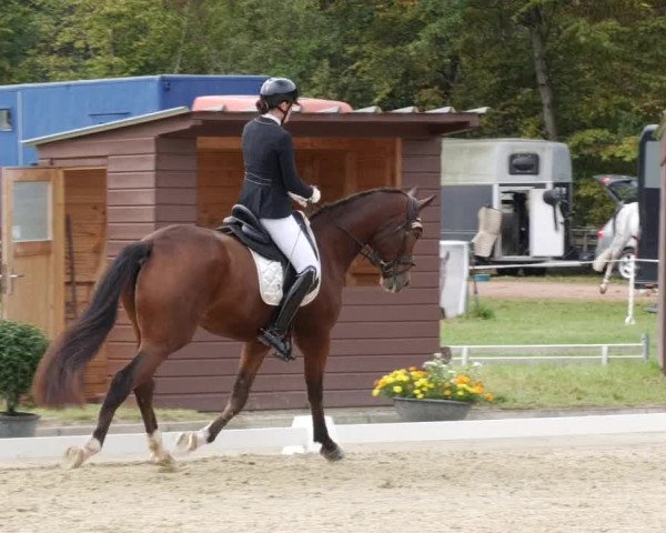 Reitturnier Heiligenwald 2023