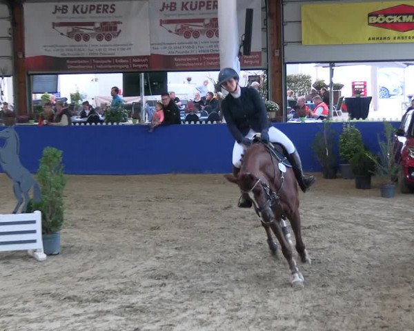 Reitturnier Isterberg 2023