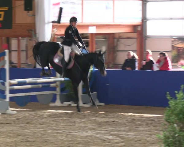 Reitturnier Isterberg 2023