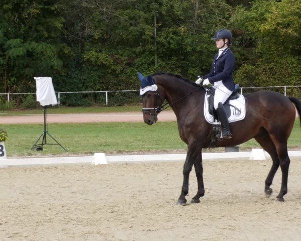 Reitturnier Heiligenwald 2023