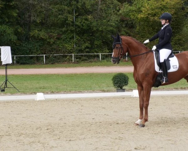 Reitturnier Heiligenwald 2023