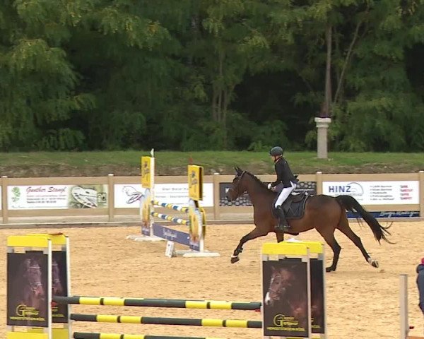 Reitturnier Tiefenhof/Opf. 2023