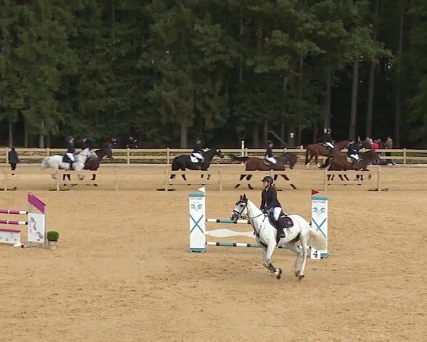 Reitturnier Tiefenhof/Opf. 2023
