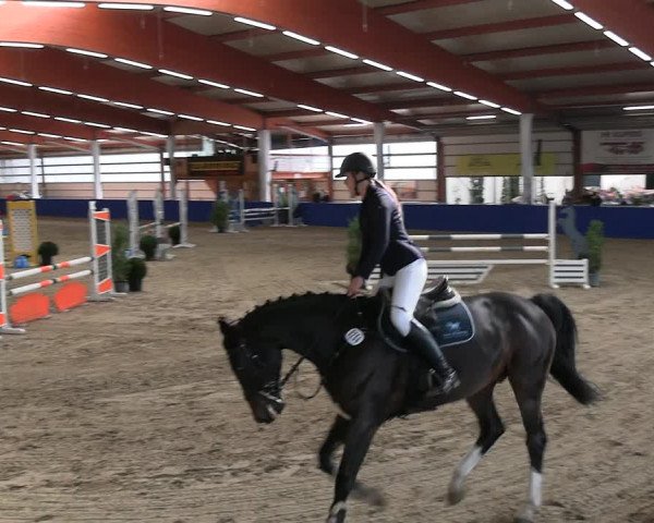 Reitturnier Isterberg 2023