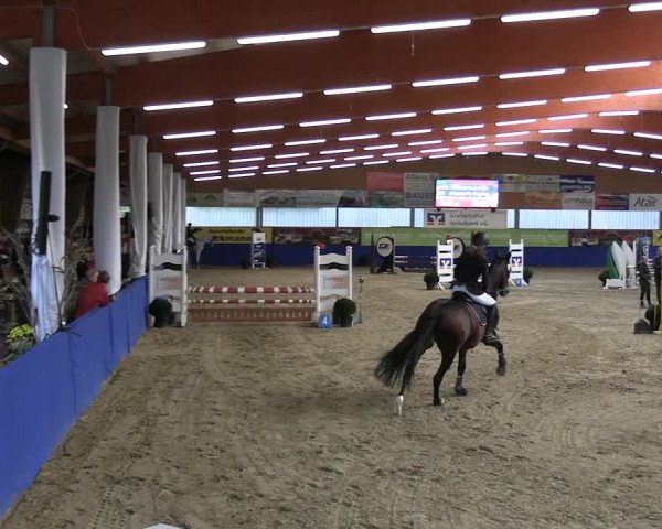 Reitturnier Isterberg 2023