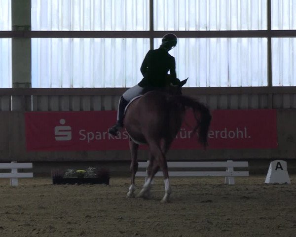 Reitturnier Werdohl-Rentrop 2023