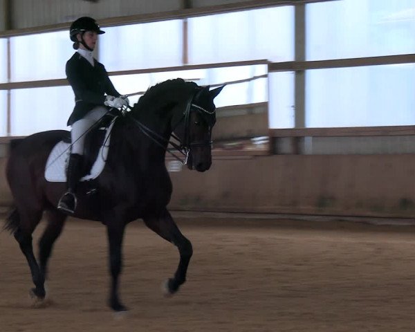 Reitturnier Werdohl-Rentrop 2023