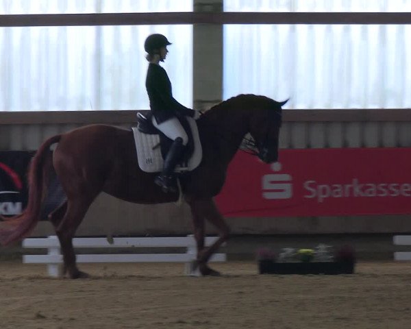 Reitturnier Werdohl-Rentrop 2023